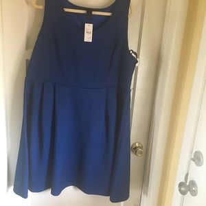 Lane Bryant Black & Blue sleeveless dress